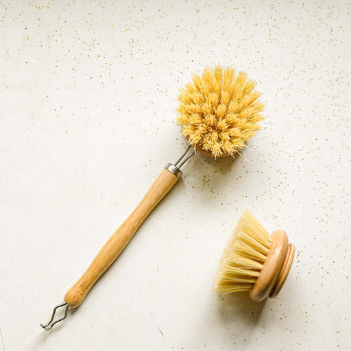 Casa Agave™ Plant Fiber Plastic Free Dish Brush with Bamboo Handle – Ray's  Reusables